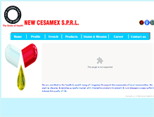 Tablet Screenshot of newcesamex.com